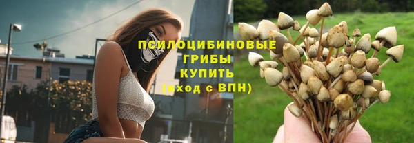 mdpv Михайлов