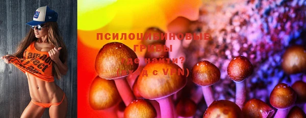 mdpv Михайлов
