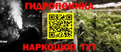 PSILOCYBIN Будённовск