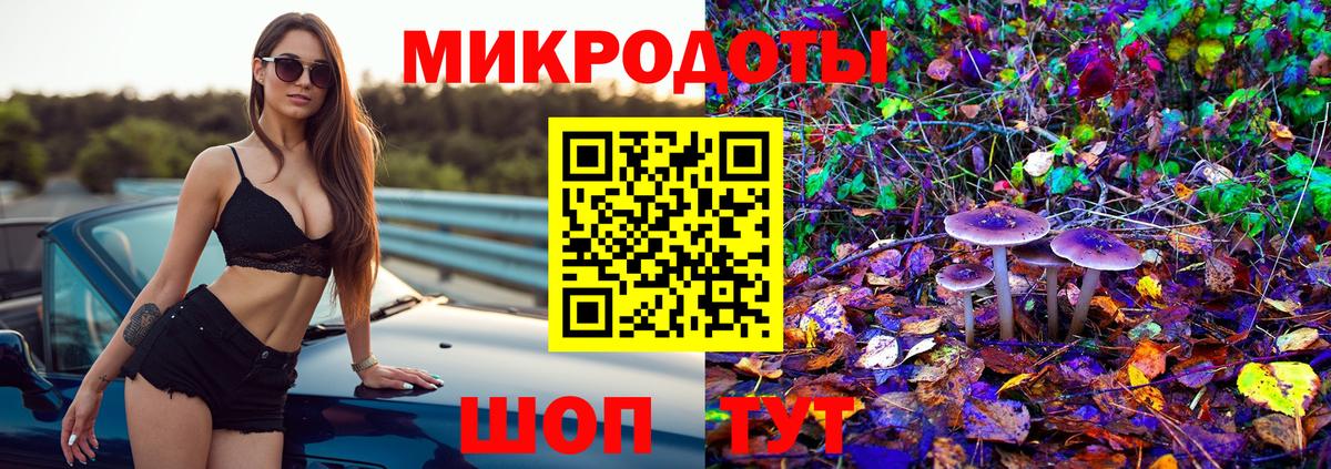 Курск  Псилоцибиновые грибы Cubensis  Вход с VPN 