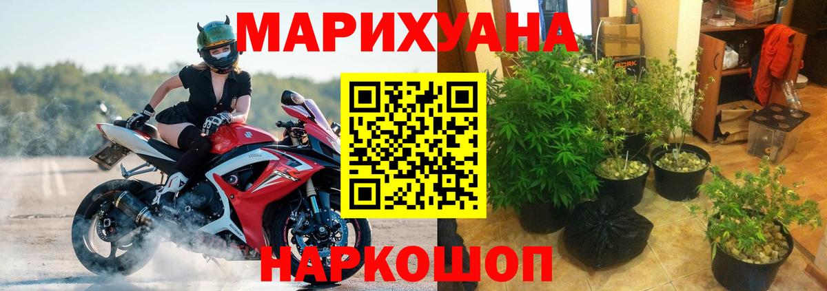 МАРИХУАНА семена Курск